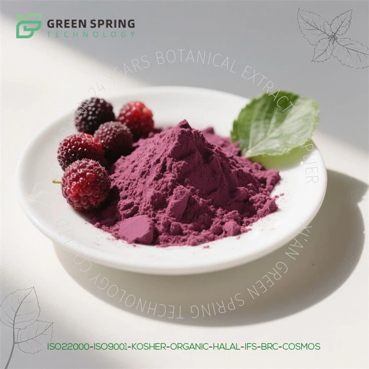 Šilkmedžio ekstrakto milteliai