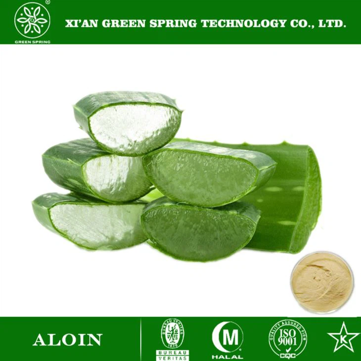 Aloe Vera ekstraktas