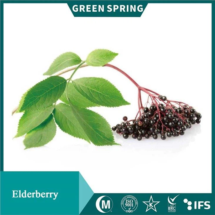 Elderberry