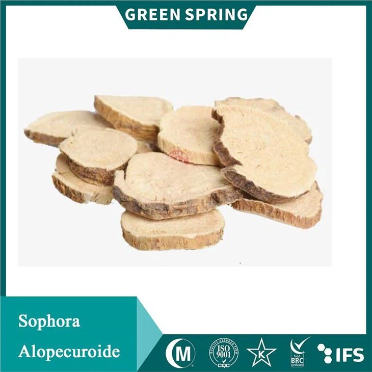 Sophora-alopecuroide Sophora-alopecuroide